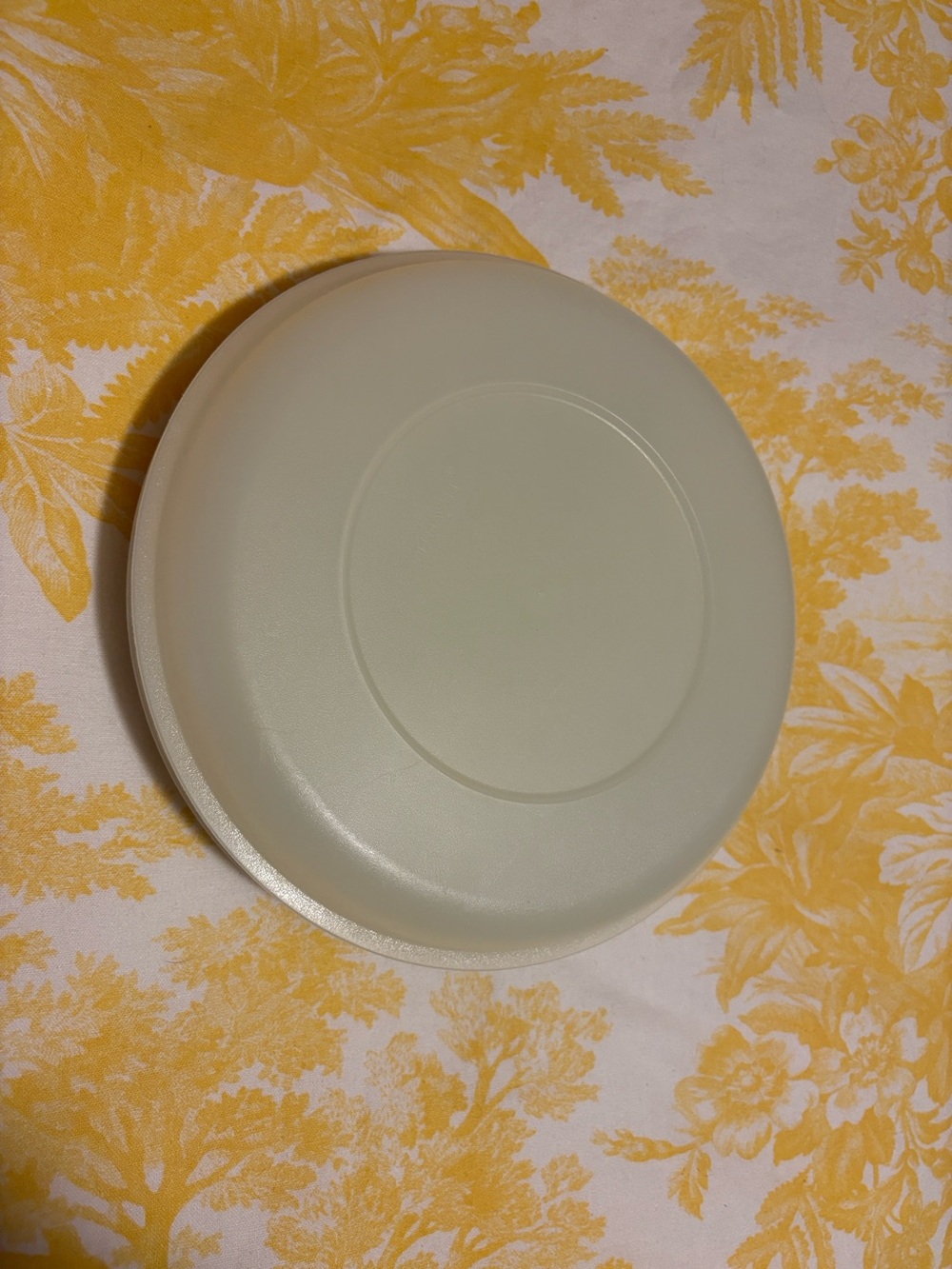 Tupperware veggie tray with lid